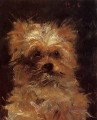 Cabeza de perro Eduard Manet